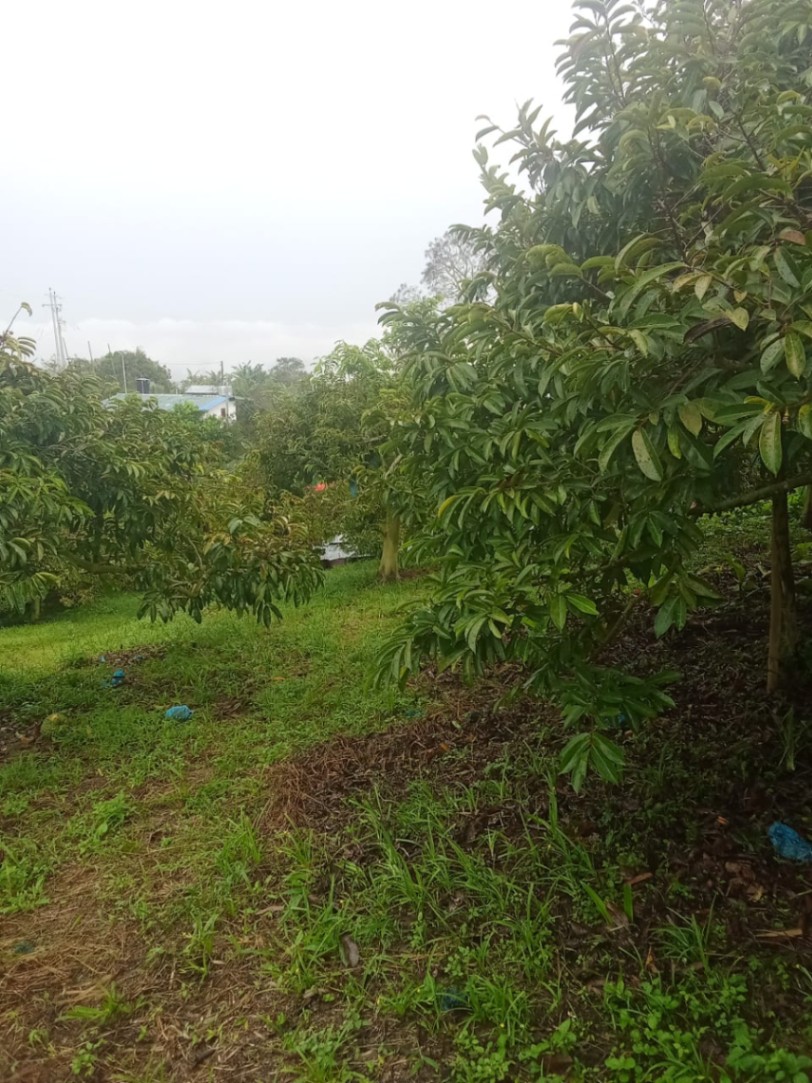 Vía Girón, Bucaramanga, Santander, Colombia 5